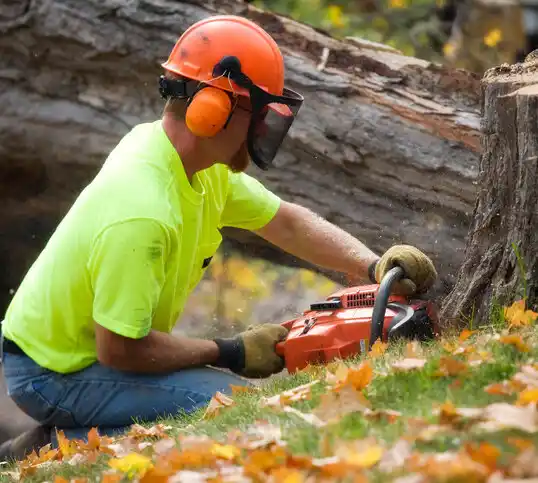 tree services Huntsville